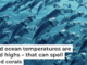 As ocean temperatures rise during El Niño, fish can find themselves in hot water. Geoff Trodd/Unsplash